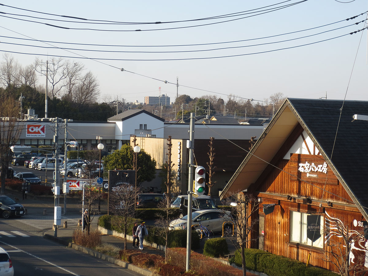 おいせ橋通り 伊勢原公民館付近