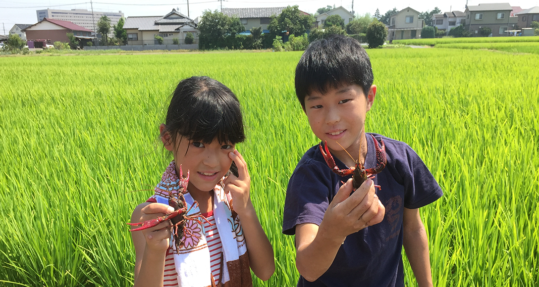 伊佐沼_ザリガニ釣り