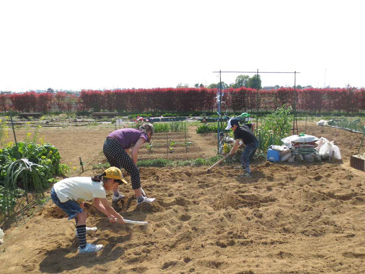 川越のグリーンツーリズム